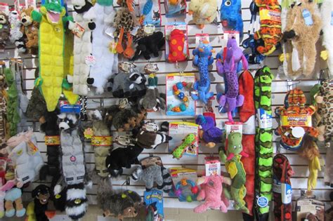 wholesale pet boutique items